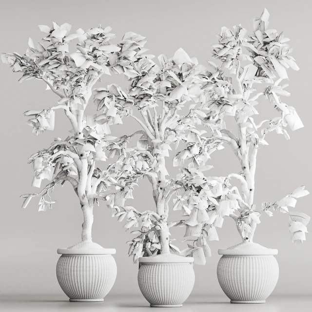 Indoor Plant Set 69 — Скачать