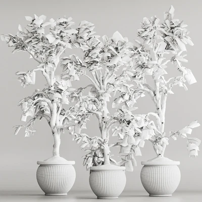 Indoor Plant Set 69 — Вид 3