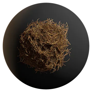 pine debris 006 — Descargar