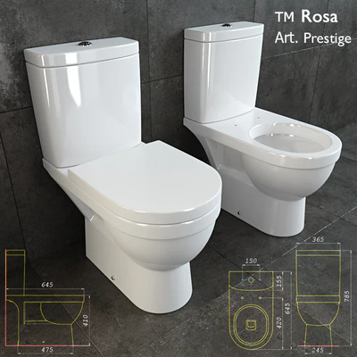Prestige toilet — Вид 1