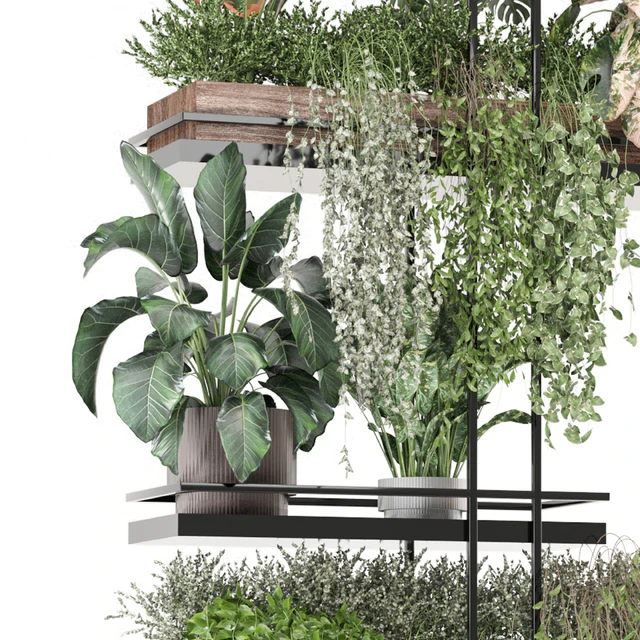 indoor plants in metal box 1580 — Descargar