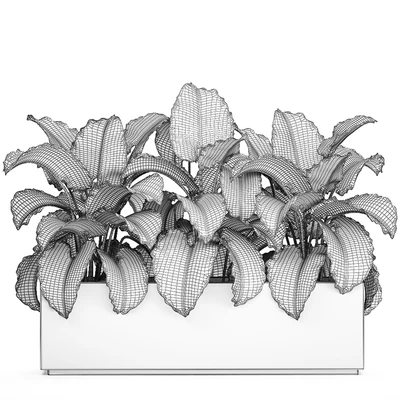 Exotic decorative lush thickets of Alchemy bushes in a white pot flowerbed. Set 507. — Ver 3