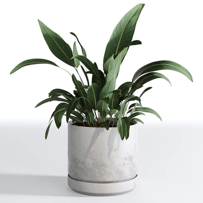 Indoor Plants Collection - Set 03 — View 3