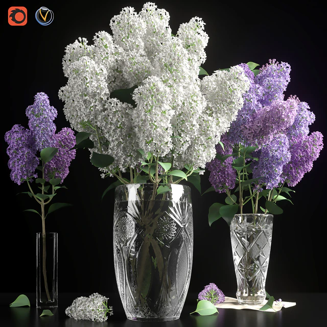 LILAC 3 in 1 / СИРЕНЬ — Скачать
