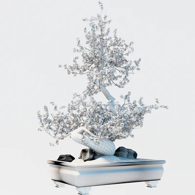 Bonsai — Ver 2