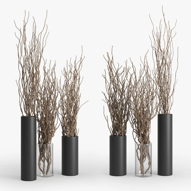 Dry Branch — Descargar