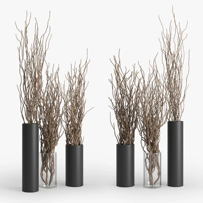 Dry Branch — Ver 1