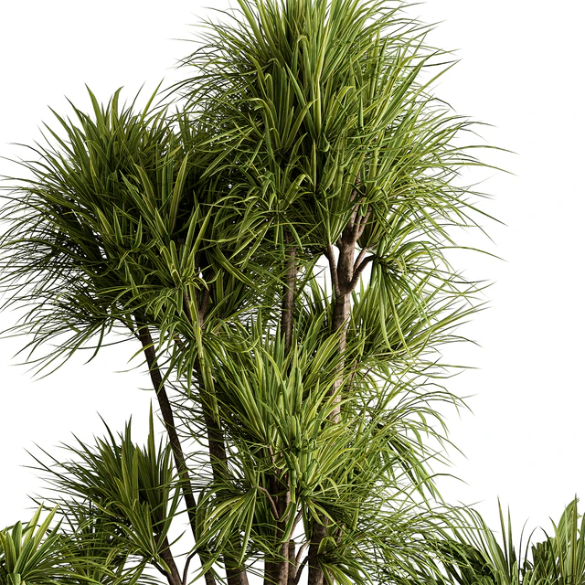 Plant Box - Outdoor Plants 580 — Descargar