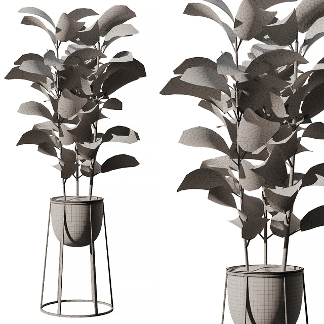 Indoor Plant SetV18 - Ficus Stand Pot — Descargar