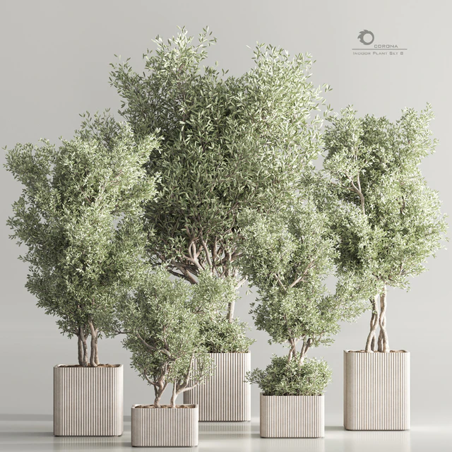 Indoor Plant Set 82 — Descargar