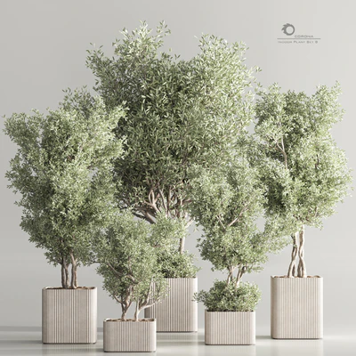 Indoor Plant Set 82 — Ver 1