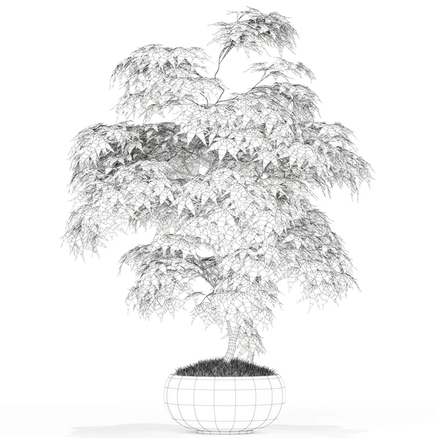 Plants collection 165 — Скачать