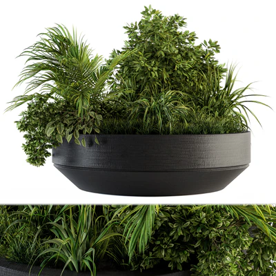 Outdoor Plants tree in Concrete Pot - Set 144 — Вид 1