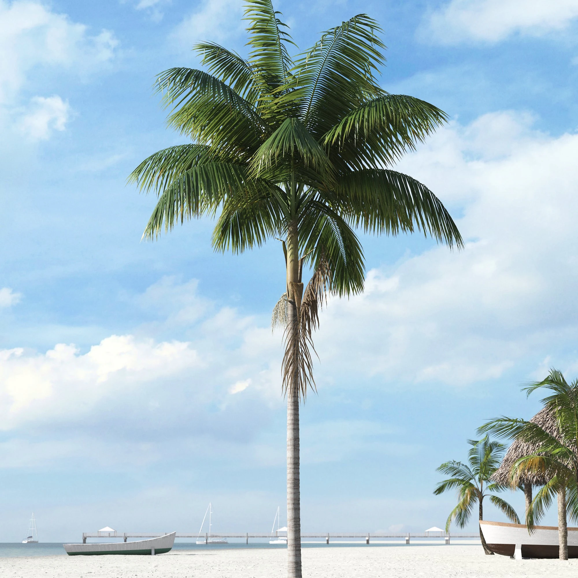 palm trees 010 — Скачать