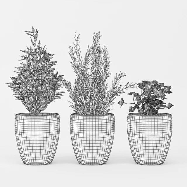 Kitchen Plant — Скачать