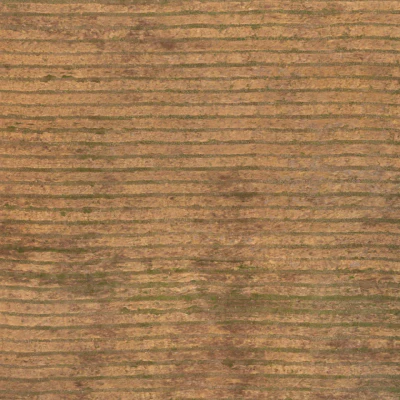 field summer 039 — Скачать