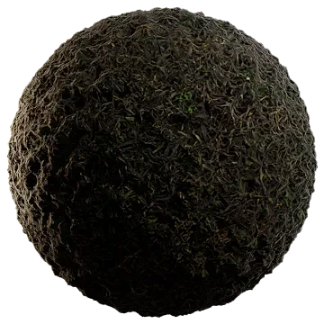 wild grass 029 — Descargar