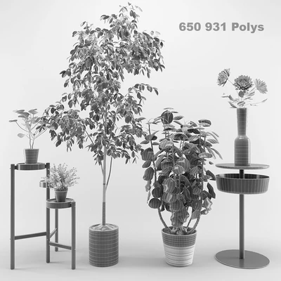 Ikea plants set — Вид 2