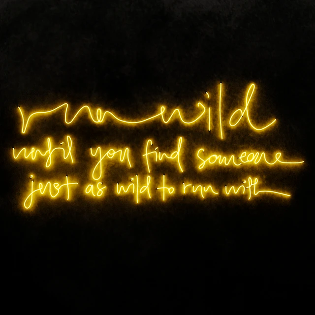 Run wild until you find someone Neon light — Download