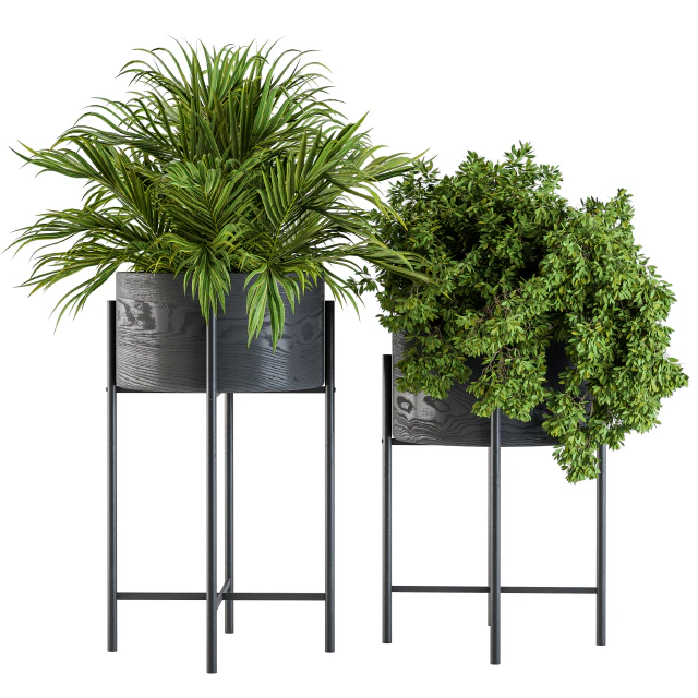 Black round plant box 03 — Скачать