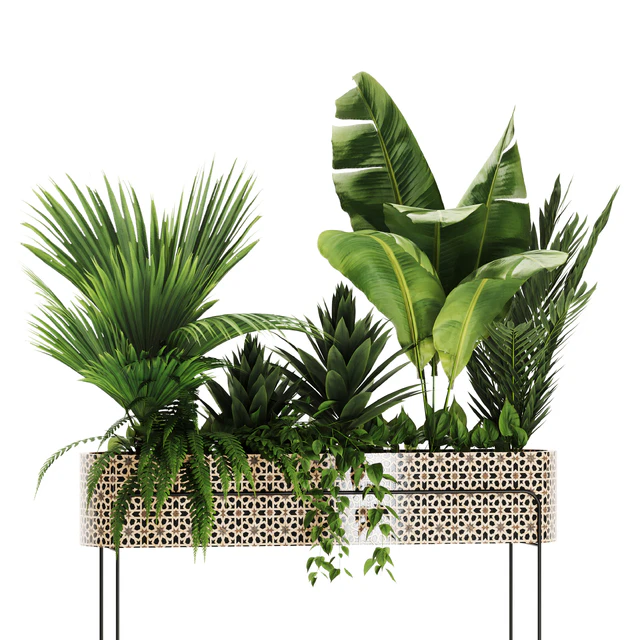 Indoor plants in box set-70 — Descargar