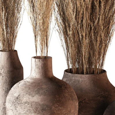 Indoor plants 01 - Pampas set in Pottery Pots — Ver 2