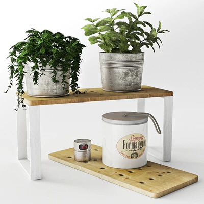 set of decorative plants in metal buckets — Descargar