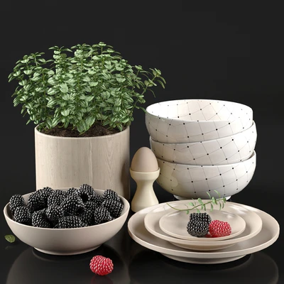 dish set — Ver 1