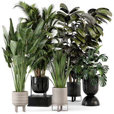 Indoor Plants in Ferm Living Bau Pot Large - Set 572 — Вид 1