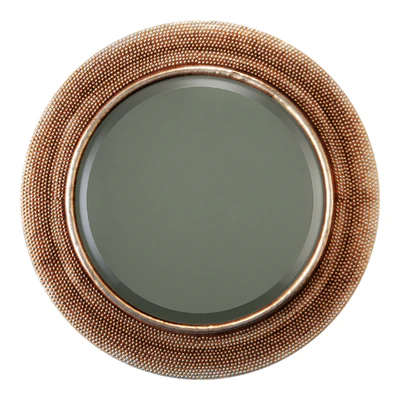 Howard Elliott Collection yukon champagne silver mirror — Ver 1