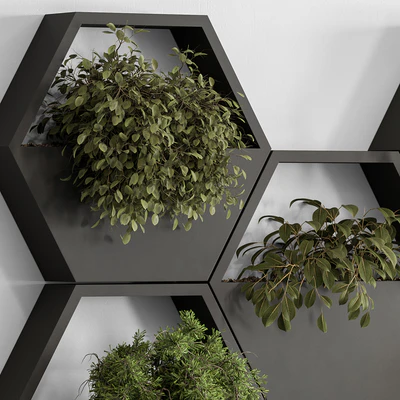 indoor Plant 536 - Hanging Plants — Ver 4