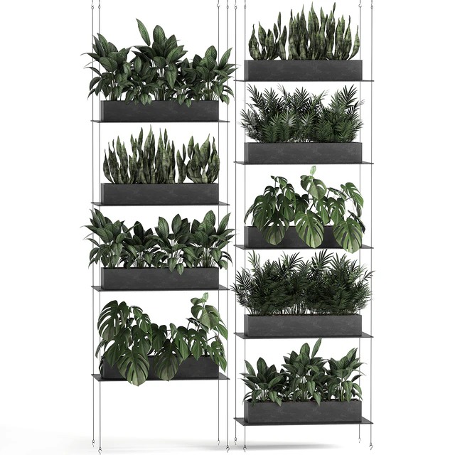Vertical gardening of the home garden on a black flower shelf with a Monstera, a phytosten, a phytomodule. Set of 64 — Descargar