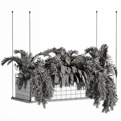 Indoor Plant Set 32  (Hanging Plants) — Ver 2