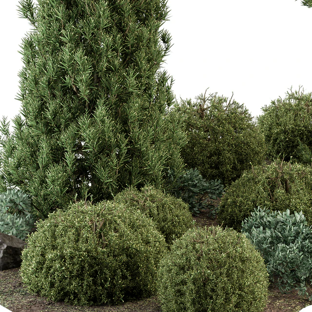 Garden Set Topiary and pine Plants - Outdoor Plants Set 410 — Скачать