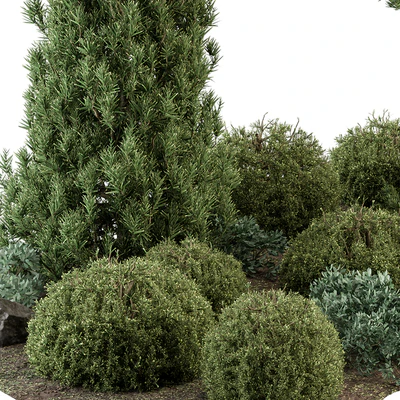 Garden Set Topiary and pine Plants - Outdoor Plants Set 410 — Вид 3
