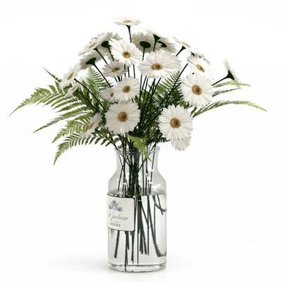 Bouquet with camomiles. — Ver 1