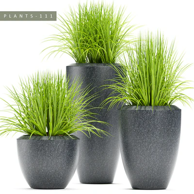 PLANTS 111 — Descargar