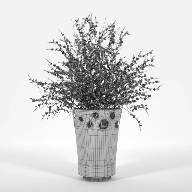 JARDINIÈRE GREEN PALACIO I Chaenomeeles japoonica — Descargar