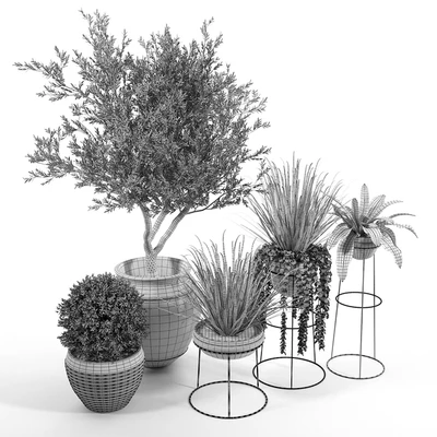 CB2 Set — Вид 2