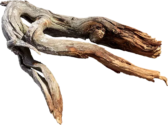 tundra dry root 002 — Descargar