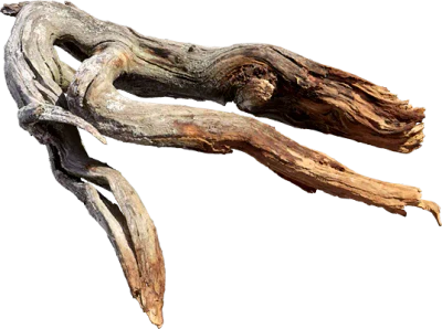 tundra dry root 002 — Descargar
