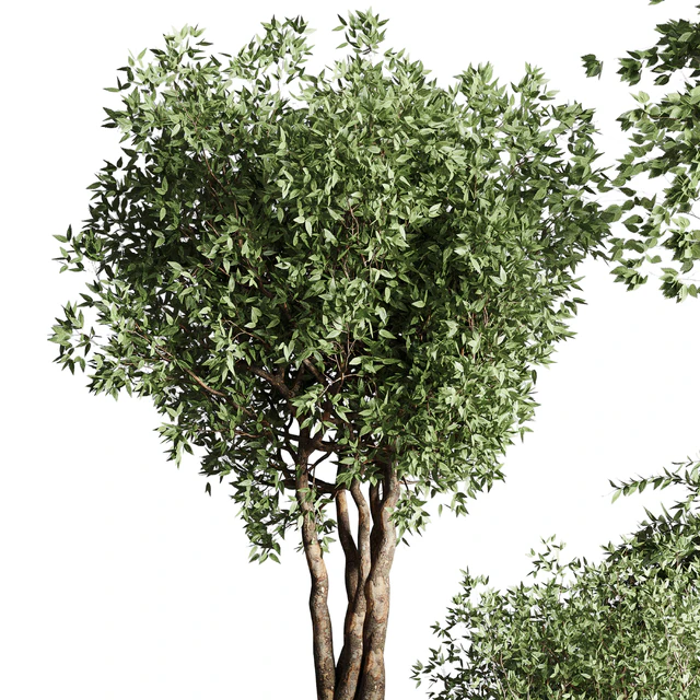 Tree pots and shrubs-bush collection 74 metal vase for outdoor indoor — Descargar