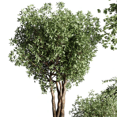 Tree pots and shrubs-bush collection 74 metal vase for outdoor indoor — Ver 3