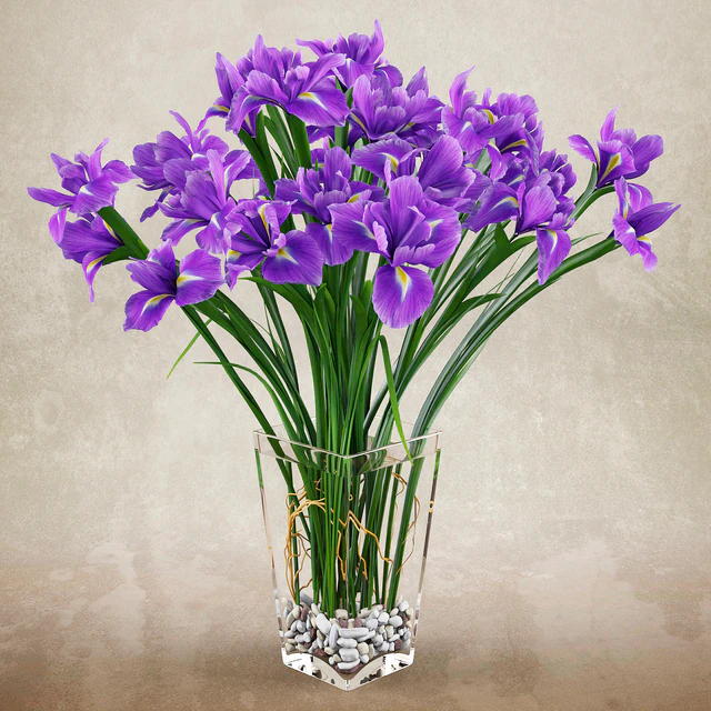 Irises 2 — Descargar