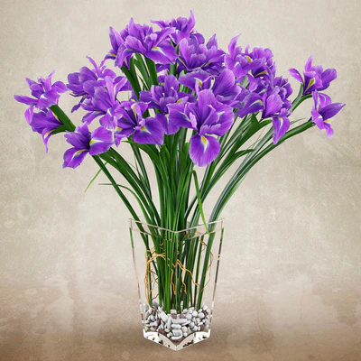 Irises 2 — Ver 1