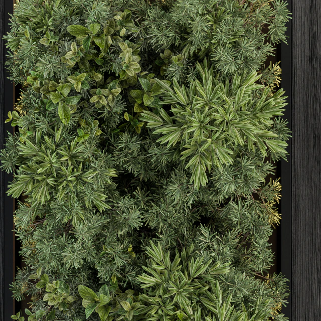 Vertical Garden Black Frame - Wall Decor 38 — Descargar