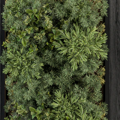 Vertical Garden Black Frame - Wall Decor 38 — Ver 3