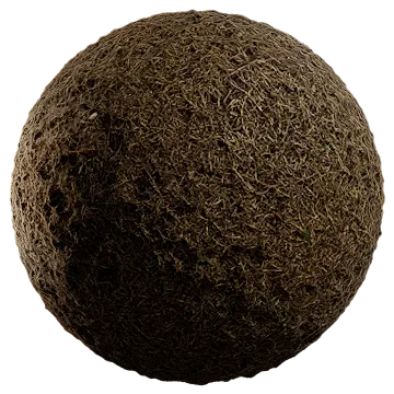 dried grass 015 — Descargar