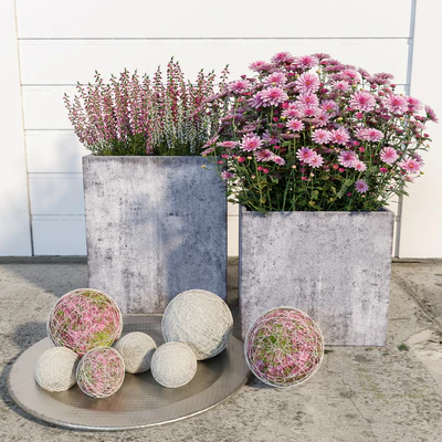 Street flowers — Ver 1