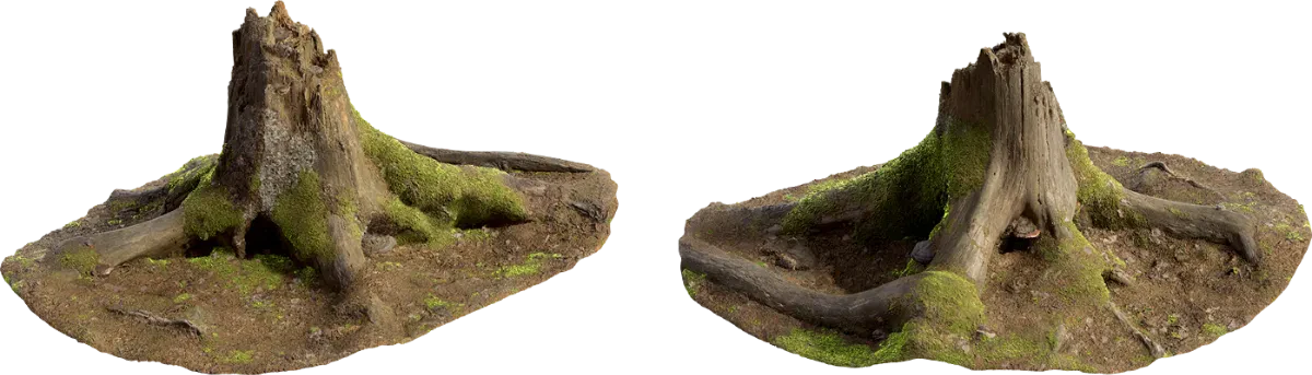 mossy stump 001 — Скачать